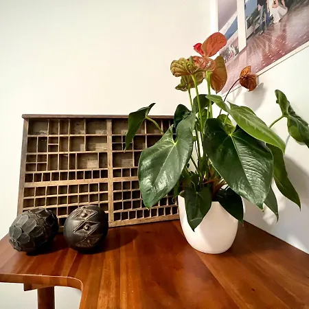 Homestay Porto Incomum