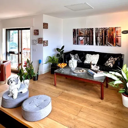 Homestay Porto Incomum